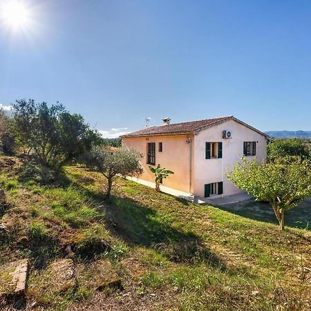 Villa Son Allarga Costitx  Exteriör bild