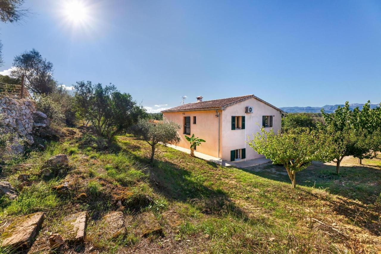 Villa Son Allarga Costitx  Exteriör bild
