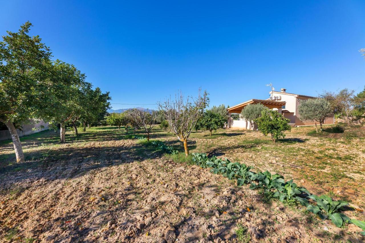 Villa Son Allarga Costitx  Exteriör bild